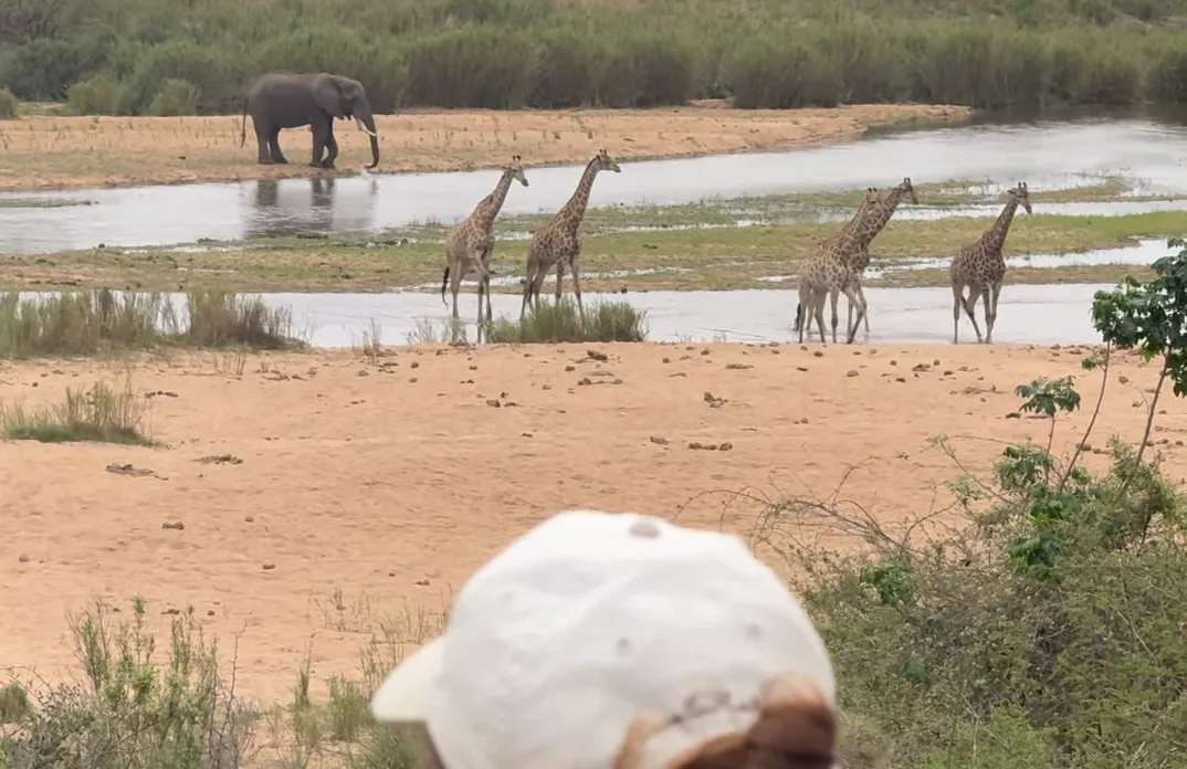 What's the best time to visit South Africa